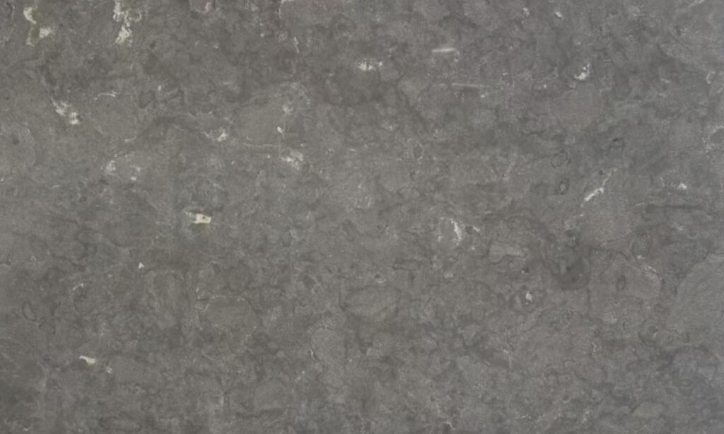 Abalone stone illustration