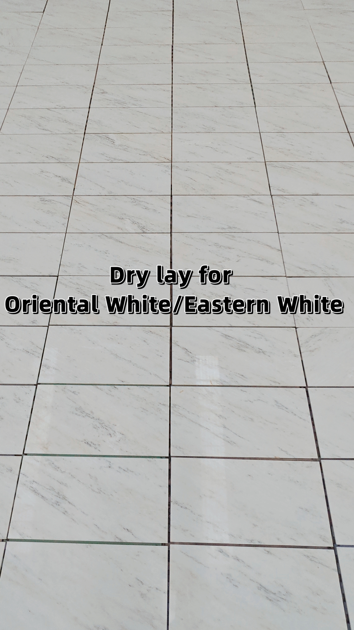 Dry lay